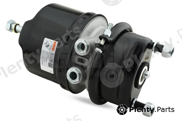 GMW 121622571 — Spring-loaded Cylinder