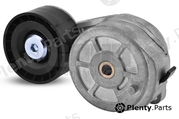 GMW GT56001 — Belt Tensioner, V-ribbed belt