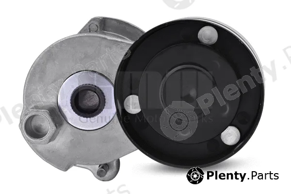 GMW GT53011 — Belt Tensioner, V-ribbed belt