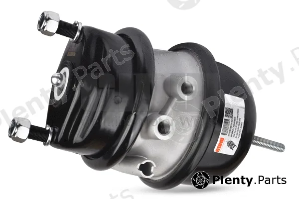 GMW 142423651 — Spring-loaded Cylinder