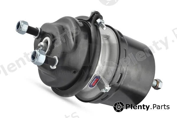GMW 161622571 — Spring-loaded Cylinder