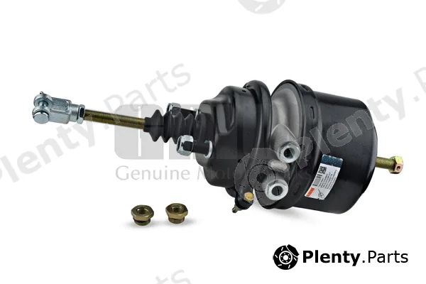 GMW 162412651 — Spring-loaded Cylinder