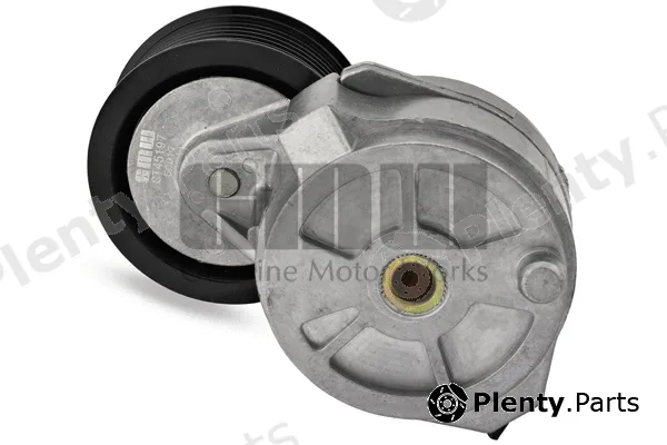 GMW GT45197 — Belt Tensioner, V-ribbed belt