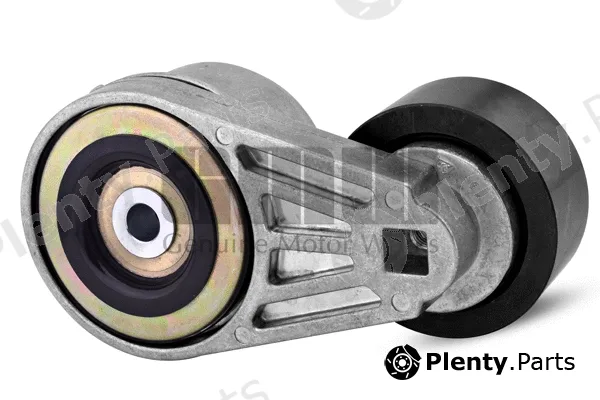 GMW GT66254 — Belt Tensioner, V-ribbed belt