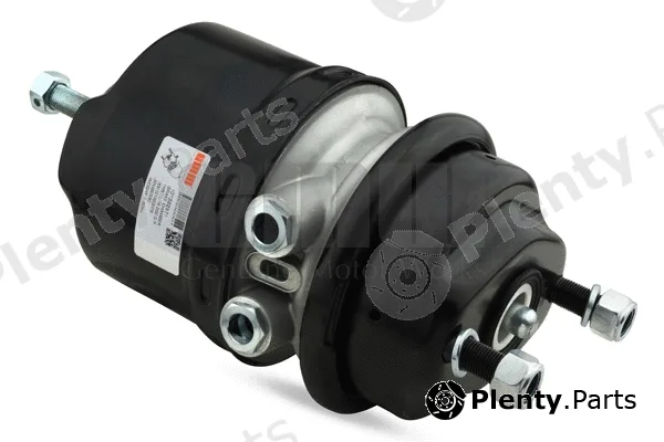 GMW 101622571 — Spring-loaded Cylinder