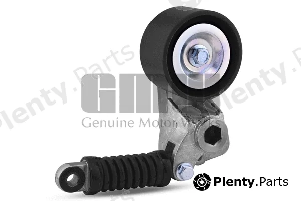 GMW GT54257 — Belt Tensioner, V-ribbed belt