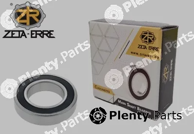 Zeta-Erre CS31 — Bearing, differential shaft