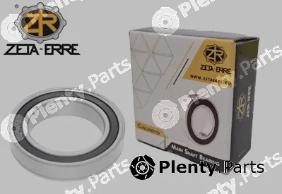 Zeta-Erre CS19 — Bearing, differential shaft