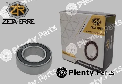 Zeta-Erre CS28 — Bearing, differential shaft