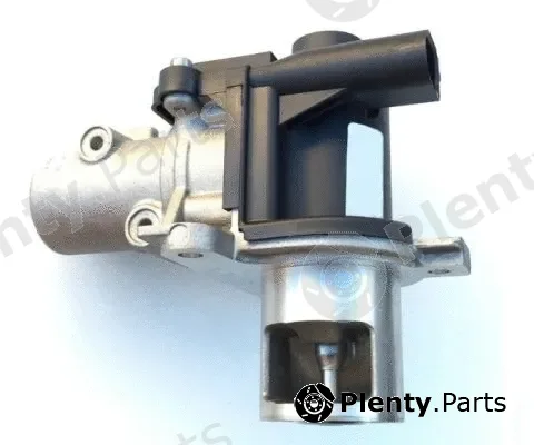 COGEFA France 7.82.561.269 — EGR Valve