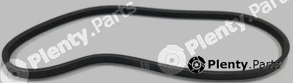 COGEFA France 6PK1125 — V-Ribbed Belt