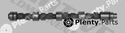 Motive T1007 — Camshaft
