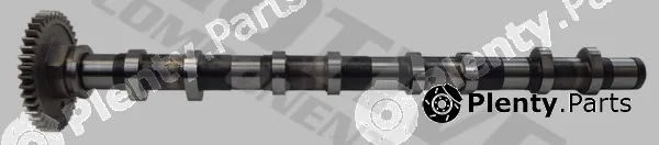 Motive T2128 — Camshaft