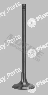 Motive IV9603 — Intake Valve