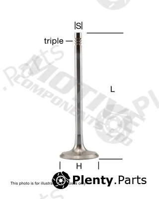 Motive EV5428 — Exhaust Valve