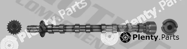Motive T4002 — Camshaft
