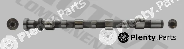 Motive T2096 — Camshaft