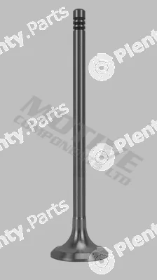 Motive EV9604 — Exhaust Valve