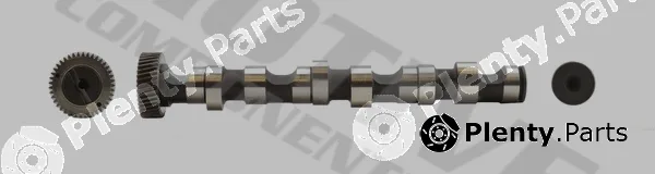 Motive T064 — Camshaft