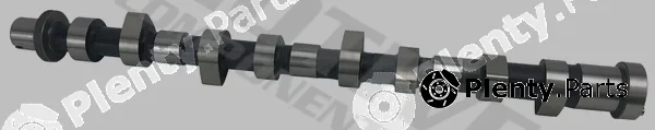 Motive T8073 — Camshaft