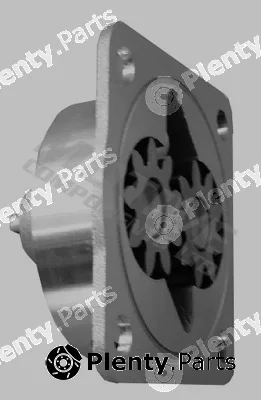 Motive OP181 — Oil Pump