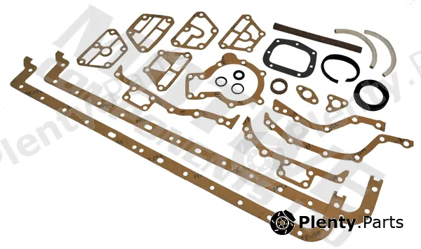 Motive CSL690 — Gasket Kit, crankcase