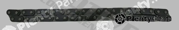 Motive TS44 — Timing Chain