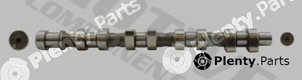 Motive T1036 — Camshaft