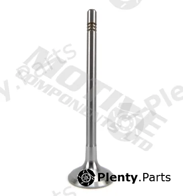 Motive IV10006 — Intake Valve