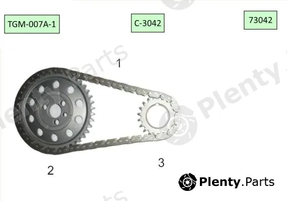Timing Chain Kit