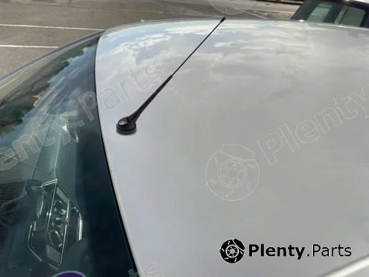 Aerial Front AM/FM roof antenna