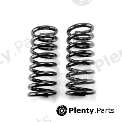 SYD 1806009 — Suspension Spring
