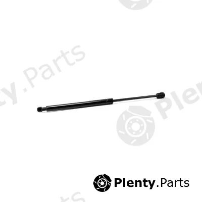 SYD 16905 — Gas Spring, boot/cargo area