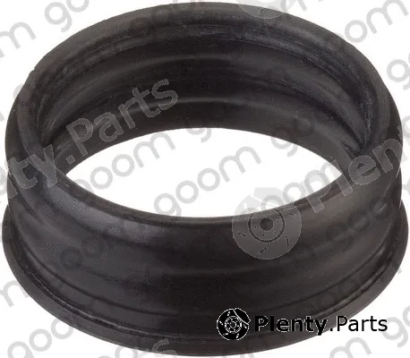 Goom WPG-0001 — Gasket, coolant pipe