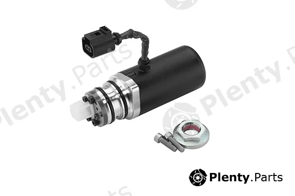 BorgWarner (AWD) DS118589 — Pump, all-wheel-drive coupling Gen III