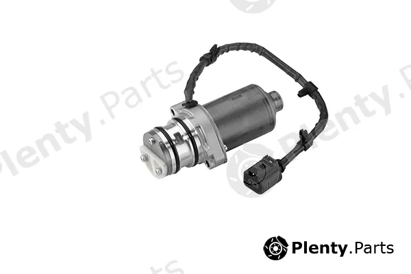 BorgWarner (AWD) DS119866 — Pump, all-wheel-drive coupling Gen IV