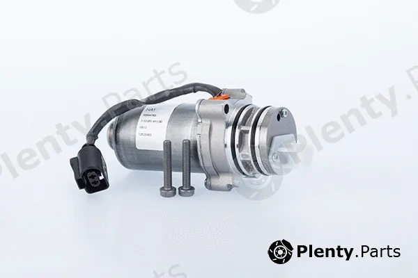 BorgWarner (AWD) DS119088 — Pump, all-wheel-drive coupling Gen V