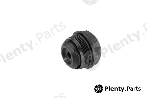 BorgWarner (AWD) DS120359 — Hydraulic Filter, all-wheel-drive coupling Gen I