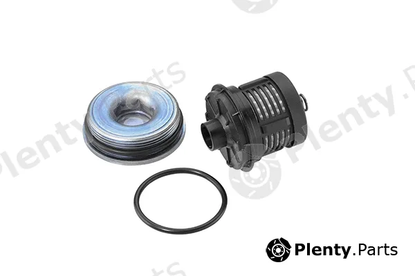 BorgWarner (AWD) DS120456 — Hydraulic Filter, all-wheel-drive coupling Gen II