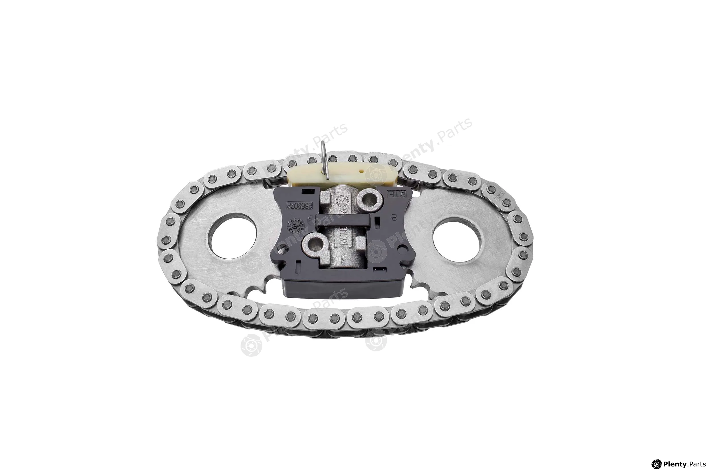 BorgWarner (AWD) 59007150000 — Timing Chain Kit