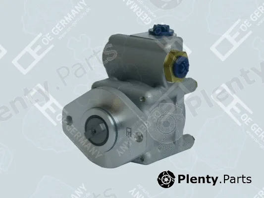 OE Germany 071390F30001 — Hydraulic Pump, steering
