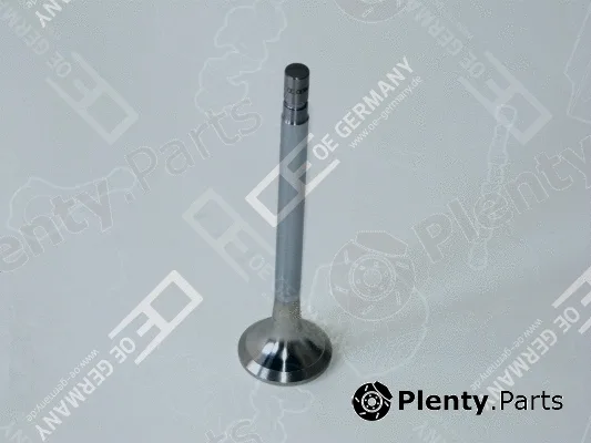 OE Germany 010520300001 — Intake Valve