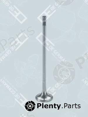 OE Germany 080520DXI110 — Intake Valve