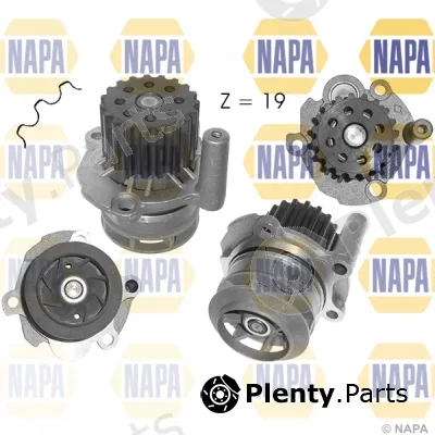 Napa NWP1062 — Water Pump, engine cooling NAPA