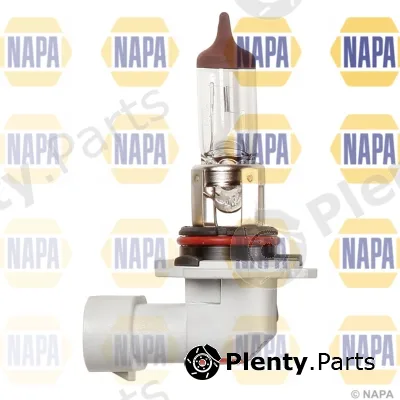 Napa NBU19005 — Bulb, headlight NAPA