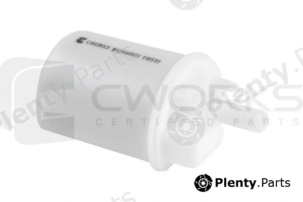 Cworks B120G0055 — Fuel Filter