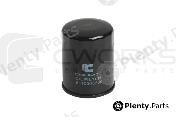 Cworks B110503230 — Oil Filter