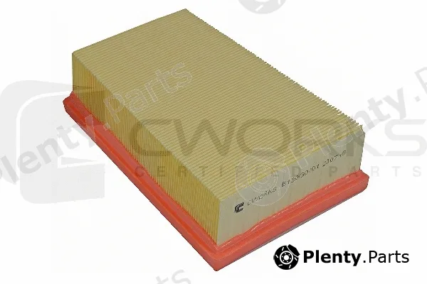 Cworks B130G0101 — Air Filter