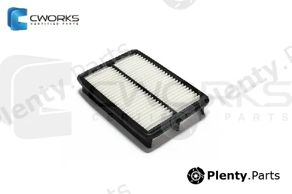 Cworks B132002000 — Air Filter