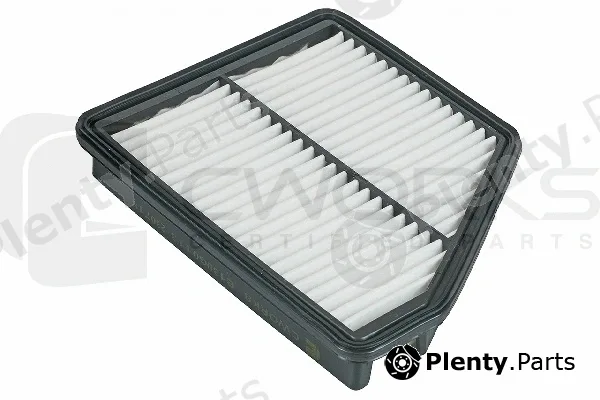 Cworks B130G0113 — Air Filter
